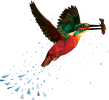 Kingfisher Photos Bird Free Transparent Image HD - Free PNG