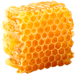 Honey Comb Png Free - Honeycomb Transparent