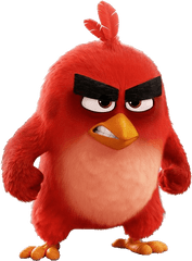 Short Angry Quotes - Most Of The Angry Birds Are Born Png