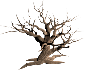 Wood Branch Transparent Png Clipart - Transparent Background Dead Tree Png