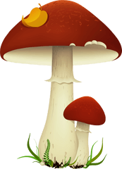 Hd Image Mushroom Cloud Clipart No - Clipartbarn Transparent Background Mushroom Clipart Png