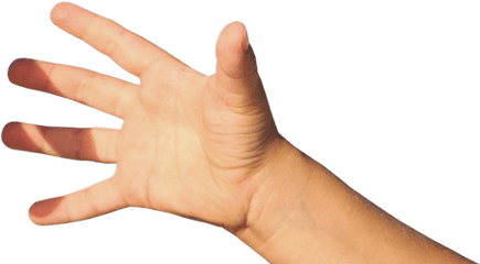 Boy Roast Hand Transparent Png - Transparent Baby Hand Png