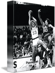 Larry Bird - For Basketball Png