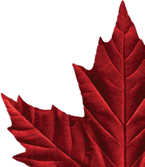 Molson Canadian Maple Leaf Logos - Molson Canadian Maple Leaf Png