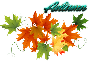 Download Autumn Leaves Free Png Image - Transparent Background Autumn Leaves Clipart