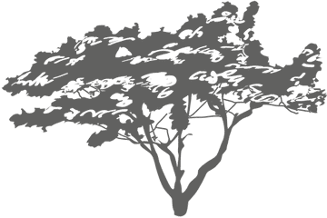 Transparent Png Svg Vector File - Siluetas De Arboles Png