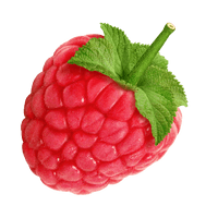 Rraspberry Png Image