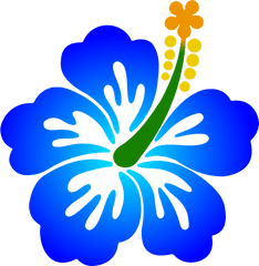 Blue Hibiscus Flower Png Freeuse Stock - Hibiscus Flower Colours Clipart