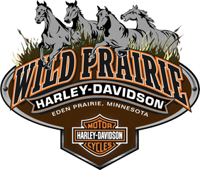 Wphd Horse Logo - Harley Davidson Png