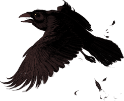 Raven Png