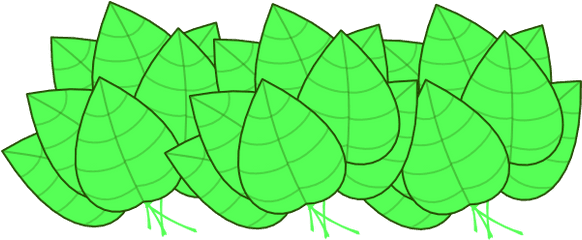 Cartoon Jungle Leaves Transparent - Cartoon Bunch Of Leaves Png