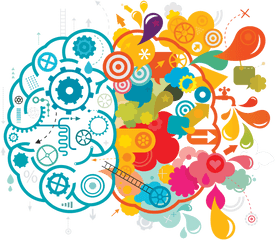 Brain Clipart Creativity - Taller Del Desarrollo Del Pensamiento Png