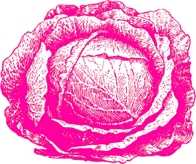 Cabbage Patch Gifs - Get The Best Gif On Giphy Cabbage Sketching Png