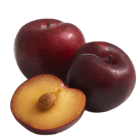 Plum Picture - Free PNG