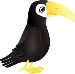 3106876385 Png Tucan