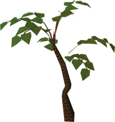 Jungle Tree Png Images Collection For