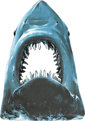 Download Free Png Sharkjawfishmouthcartilaginous Fish - Jaws 2 Poster Shark