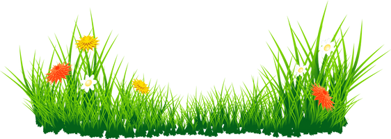 Vector Photos Grass Green HD Image Free - Free PNG