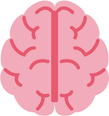 Clipcookdiarynet - Brain Clipart Cerebro 5 512 X 512 For Png