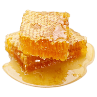 Organic Honeycomb Free HD Image - Free PNG
