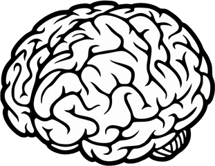 Brain Png - Brain Icon Transparent Background