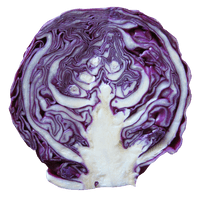Purple Cabbage Half Free Transparent Image HD - Free PNG