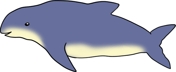 Burmeisters Porpoise - Porpoise Png