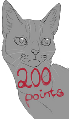 Download Hd Pin By Ellie - Face Transparent Domestic Cat Png