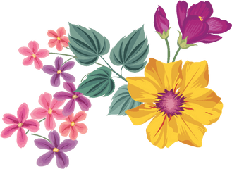 Transparent Flower Png Border - Wallpapers Frame Border Flowers Png Free Download