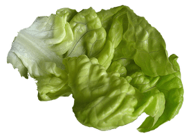 Celtuce Green Free Transparent Image HD - Free PNG