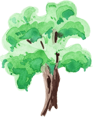 12 Watercolor Tree Transparent - Water Paint Tree Png