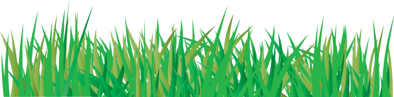 Vector Grass PNG Download Free