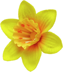 Daffodil Pin Transparent Png - Clip Art Daffodil