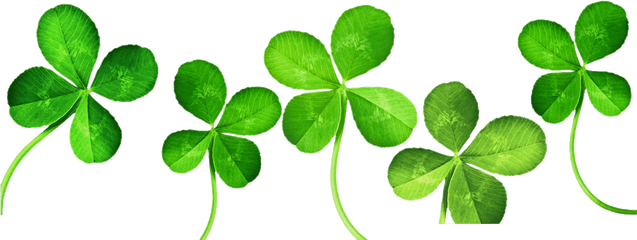 Four - Leaf Clover Clip Art Clover Png Download 10241024 Four Leaf Clover Clipart