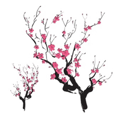 Japanese Maple Png - Cherry Blossom Japanese Design Png