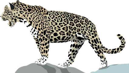 Download Jaguar Png Photo - Cartoon Jaguar Png