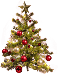 Small Christmas Tree Transparent Backgro 950949 - Png Transparent Christmas Tree Png Hd