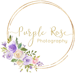 Purple Rose Photography Llc - Floribunda Png