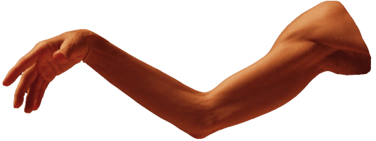 Arm Transparent - Free PNG