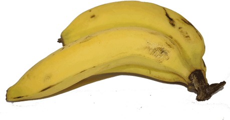 Bananas Png - Saba Banana