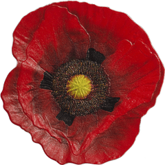 2017 1 Oz Cook Islands Remembrance - Remembrance Poppy Png