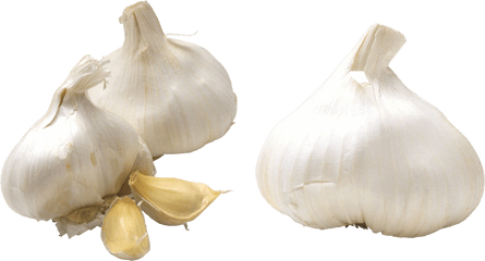 Garlic Png Transparent Background