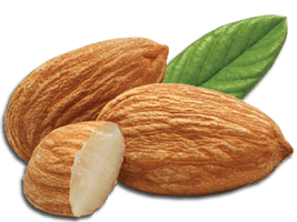 Almond Png Picture