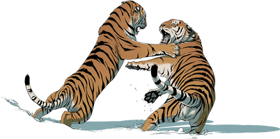 Tiger Fight Free Clipart HQ - Free PNG