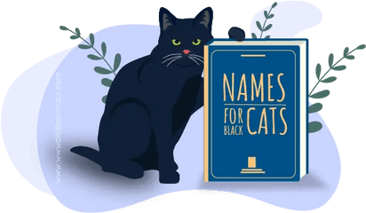 350 Popular Names For Black Cats - Black Cat Png