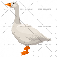 Duck Goose Swan Bird Png Image With - Png Cartoon Geese