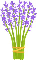 Clipart - Lavender Clipart Png Free