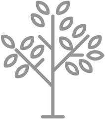 Few Leaves Tree Icon Stroke - Transparent Png U0026 Svg Vector File Sign