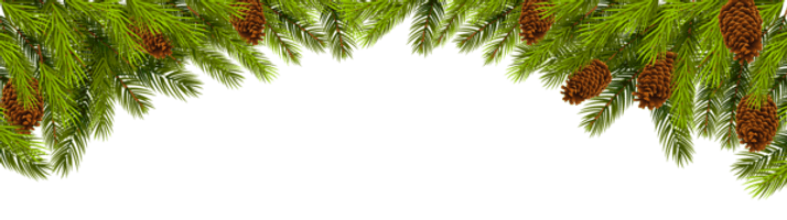 Branches Christmas HQ Image Free - Free PNG