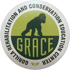 Grace Logo Sticker - Federal Board Of Intermediate And Secondary Education Png